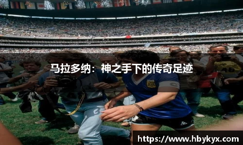 bsports必一体育官方网站