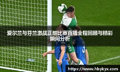 爱尔兰与芬兰激战正酣比赛直播全程回顾与精彩瞬间分析